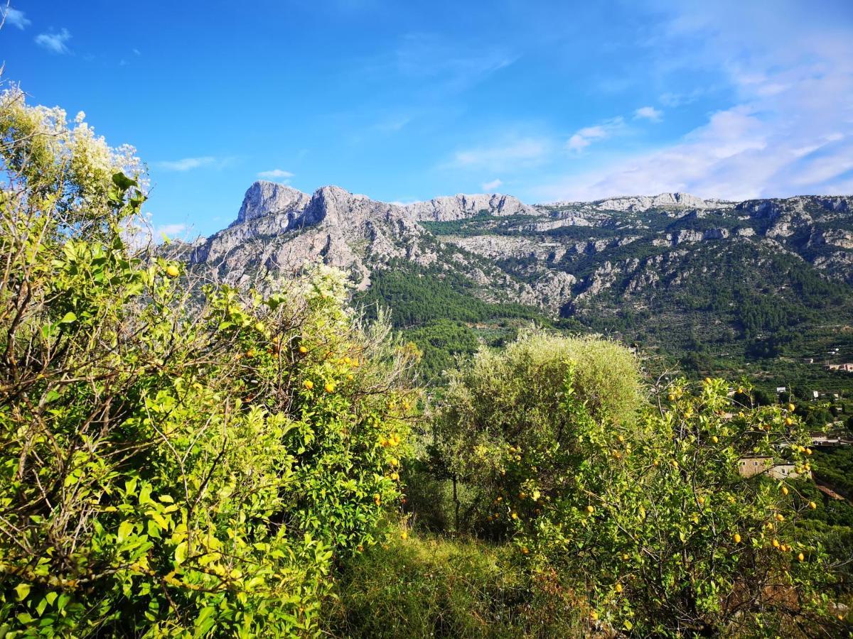 Villa Ideal Sóller Extérieur photo