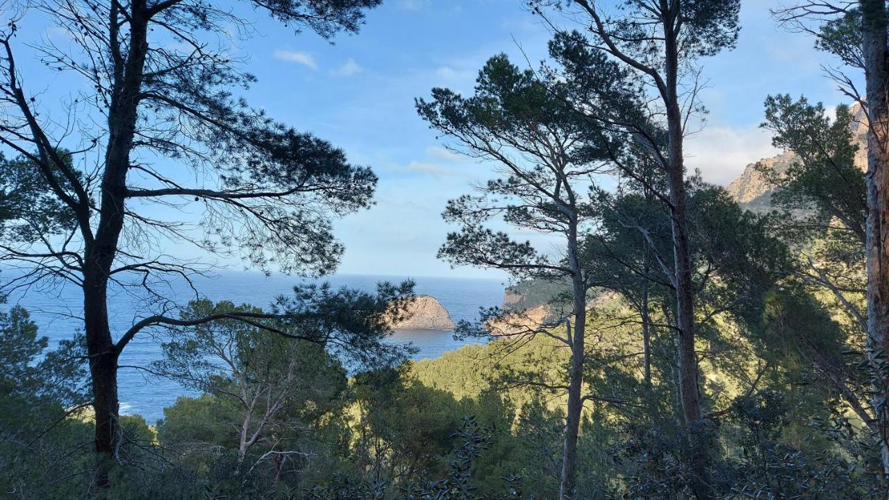 Villa Ideal Sóller Extérieur photo